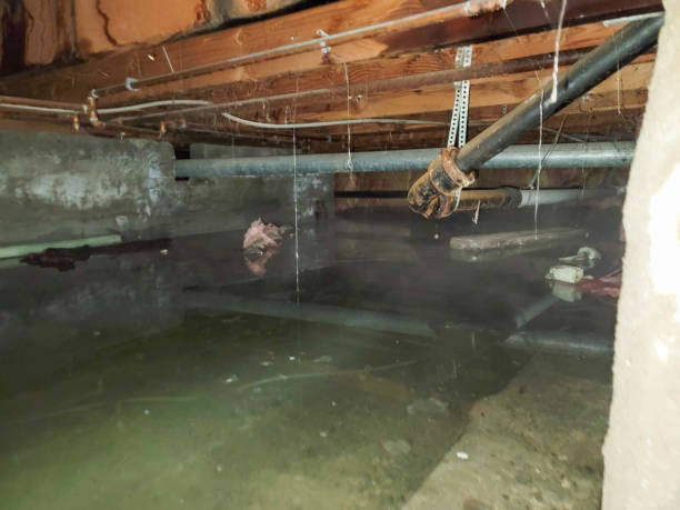 Professional Water damage restoration in Greenwood, IN