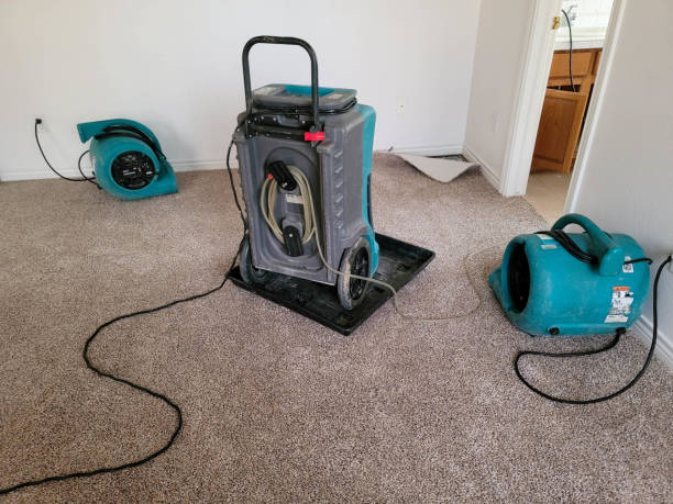 Best Commercial water damage restoration  in Greenwood, IN