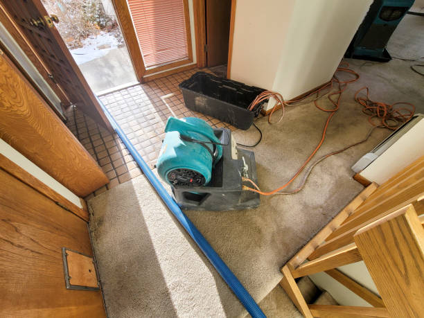 Best Commercial water damage restoration  in Greenwood, IN