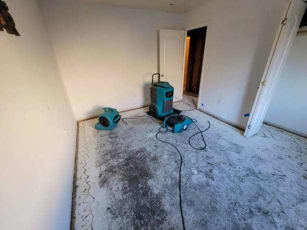 Best 24/7 water damage repair  in Greenwood, IN