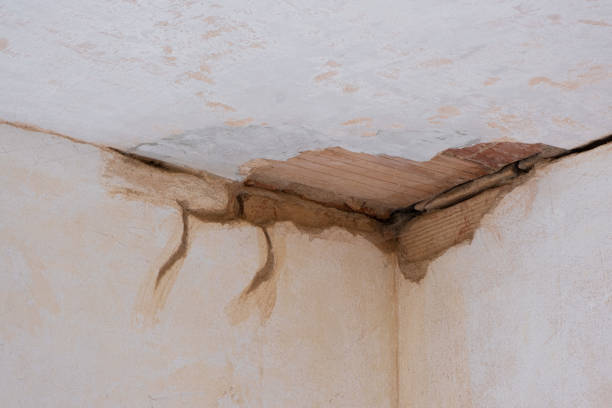 Best Flood restoration services  in Greenwood, IN