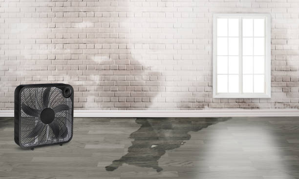 Best Fire Damage Restoration  in Greenwood, IN
