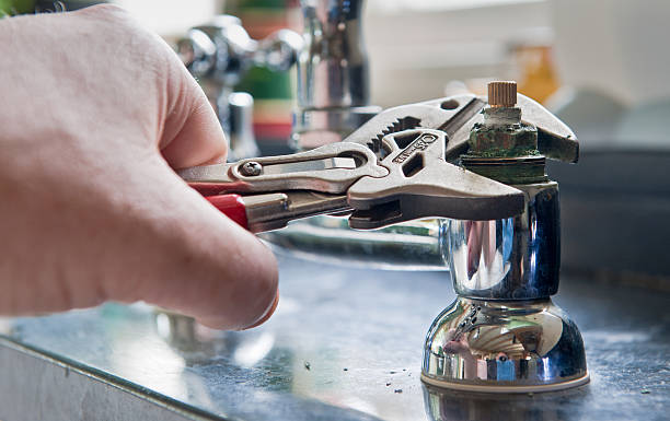 Best Flood damage cleanup  in Greenwood, IN