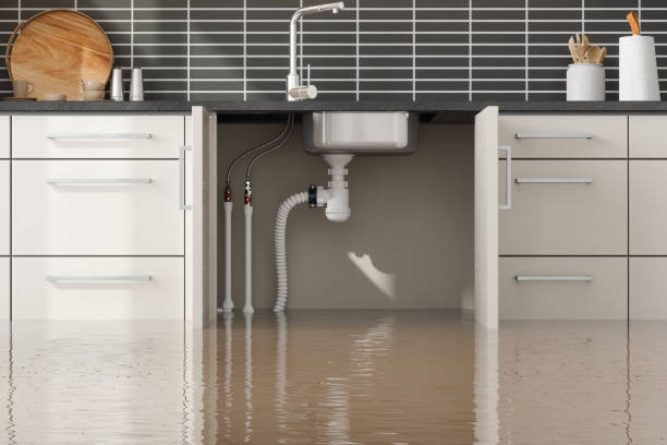 Best Water damage restoration cost  in Greenwood, IN