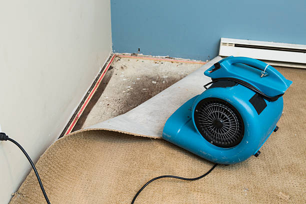 Best Water damage restoration specialists  in Greenwood, IN